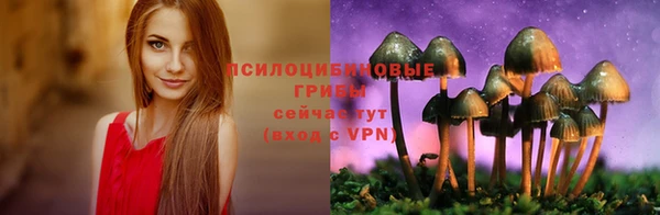 синтетический гашиш Протвино